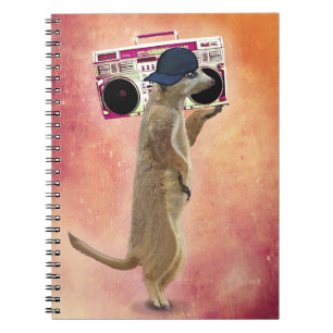 Carnet Meerkat et caisson de basses