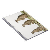 Carnet Meerkats Suricata suricatta (Côté Droit)