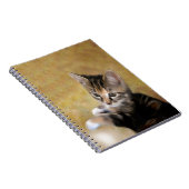 Carnet Meet Tiger (Côté Droit)
