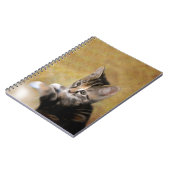 Carnet Meet Tiger (Côté gauche)
