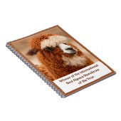 Carnet Meilleur Sourcil Uni d'Alpaca (Côté Droit)