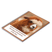 Carnet Meilleur Sourcil Uni d'Alpaca (Côté gauche)