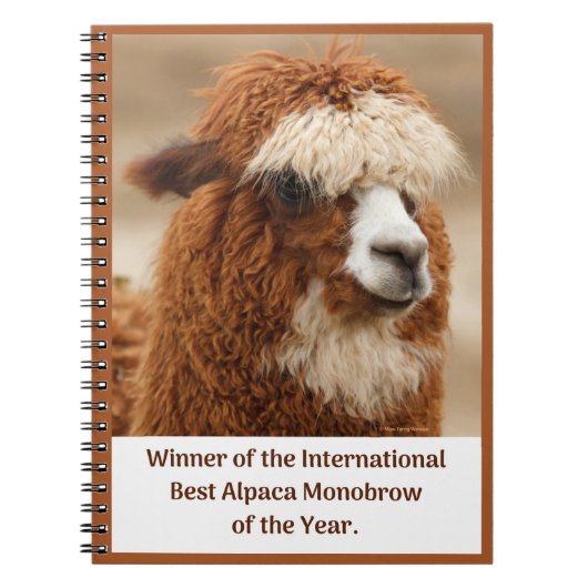 Carnet Meilleur Sourcil Uni d'Alpaca (Devant)
