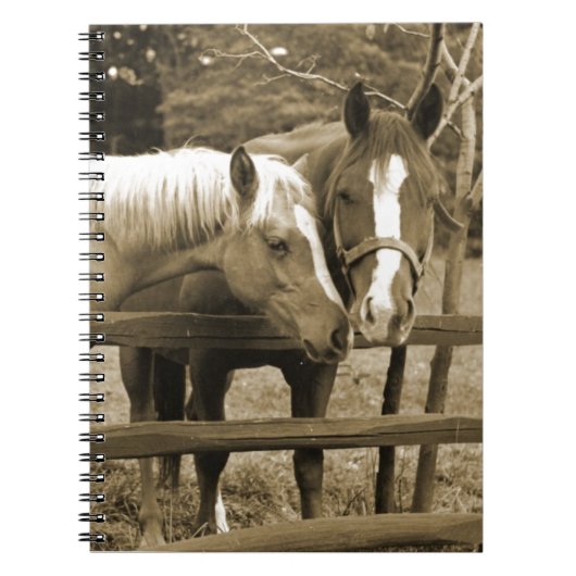 Carnet Meilleurs amis (Devant)