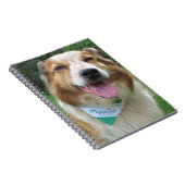 Carnet mélange de cônes (Côté Droit)