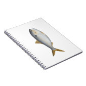Carnet Menhaden d'Argentine (Côté Droit)