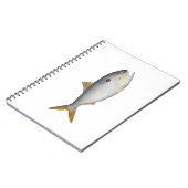 Carnet Menhaden d'Argentine (Côté gauche)