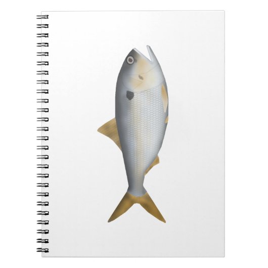 Carnet Menhaden d'Argentine (Devant)