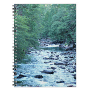 Carnet Merced river by Happy Isles, Yosemite, CA