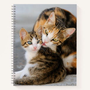 Carnet Mère Chat aime mignon Bébé Kitten Animal Animau