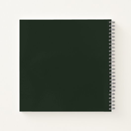 Carnet Mère et bébé Ours Koala (Dos)