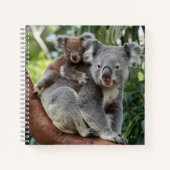 Carnet Mère et bébé Ours Koala (Devant)