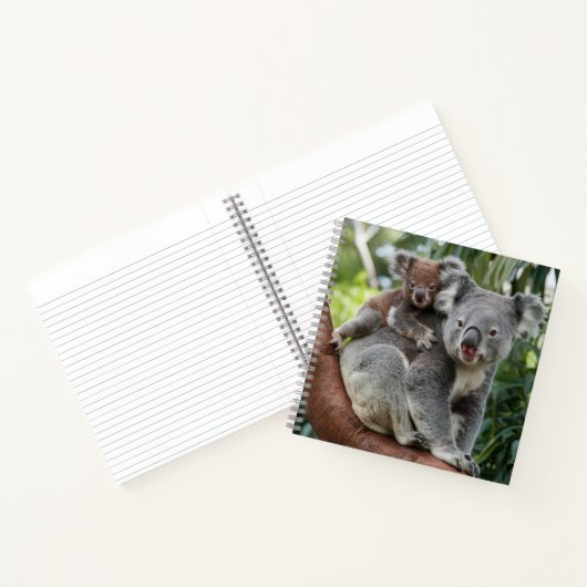 Carnet Mère et bébé Ours Koala (Intérieur)
