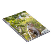 Carnet Mère et bébé Rhesus Macaque singes sur le mur (Côté Droit)