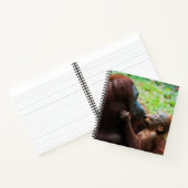 Carnet Mère orang-outan avec bébé (Intérieur)