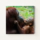 Carnet Mère orang-outan avec bébé (Dos)