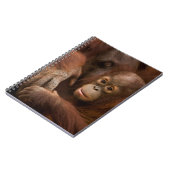 Carnet Mère orang-outan et bébé au zoo (Côté gauche)