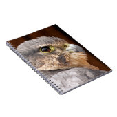 CARNET MERLIN FALCON OISEAU DE PREY (Côté Droit)