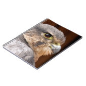 CARNET MERLIN FALCON OISEAU DE PREY (Côté gauche)