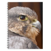 CARNET MERLIN FALCON OISEAU DE PREY (Devant)