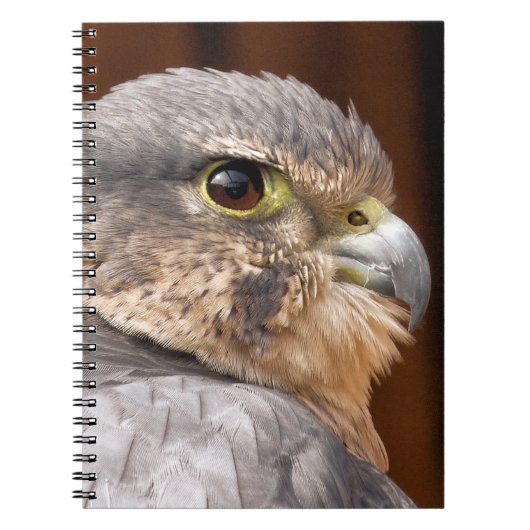 CARNET MERLIN FALCON OISEAU DE PREY (Devant)