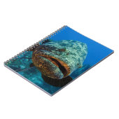 Carnet Mérou géant de l'Atlantique (Côté gauche)