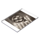 Carnet MES01BWD2 base-ball Bowl.tif (Côté gauche)