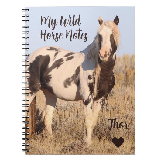 Carnet Mes notes de cheval sauvage Thor (Devant)