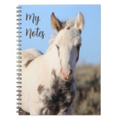 Carnet Mes Notes Wild Horse Thora (Devant)