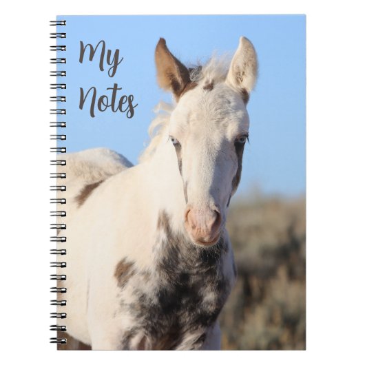 Carnet Mes Notes Wild Horse Thora (Devant)