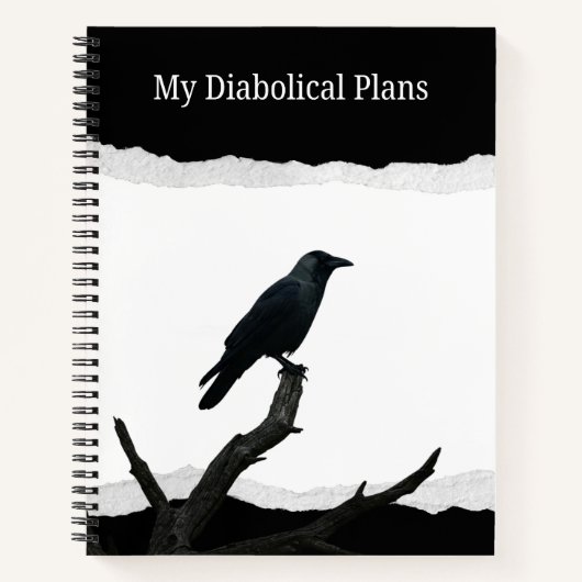 Carnet Mes Plans Diaboliques (Devant)