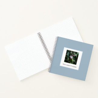 Carnet Mésange à tête noire – Photographie d'art