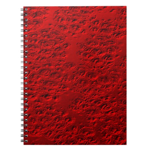 Carnet Métal rouge endommagé (Devant)