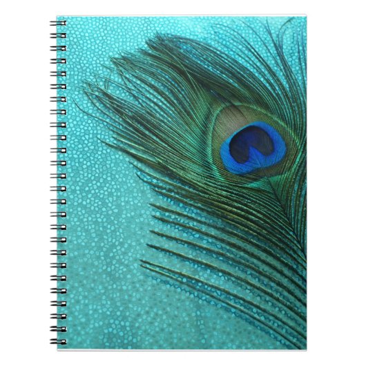 Carnet Métallurgie Aqua Blue Peacock Feather (Devant)