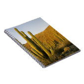 Carnet Mexique, Baja, Père Noël, île de Catalina, mer de (Côté Droit)