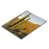 Carnet Mexique, Baja, Père Noël, île de Catalina, mer de (Côté gauche)