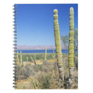 Carnet Mexique, Basse-Californie du Sud, Mulege, Bahia