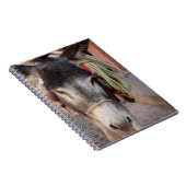 Carnet Mexique, San Miguel De Allende 2 (Côté Droit)