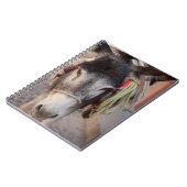 Carnet Mexique, San Miguel De Allende 2 (Côté gauche)