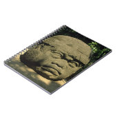 Carnet Mexique, Villahermosa, chef Olmèque géant, La Vent (Côté gauche)