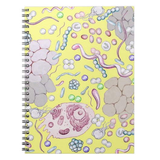 Carnet Microbiologie En Jaune (Devant)