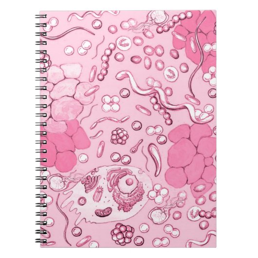 Carnet Microbiologie En Rose (Devant)