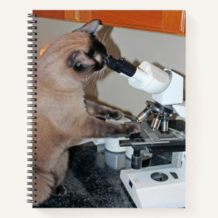 Carnet Microscopie Féline : Une curieuse enquête