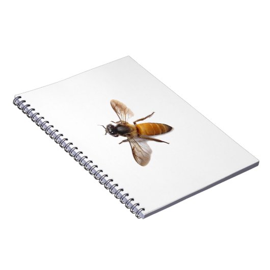 Carnet Miel Bee (Côté Droit)