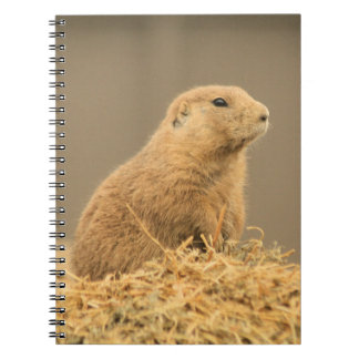 Carnet mignon d'Aint I de chien de prairie