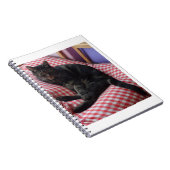 Carnet mignon Dave Spiral (Côté Droit)