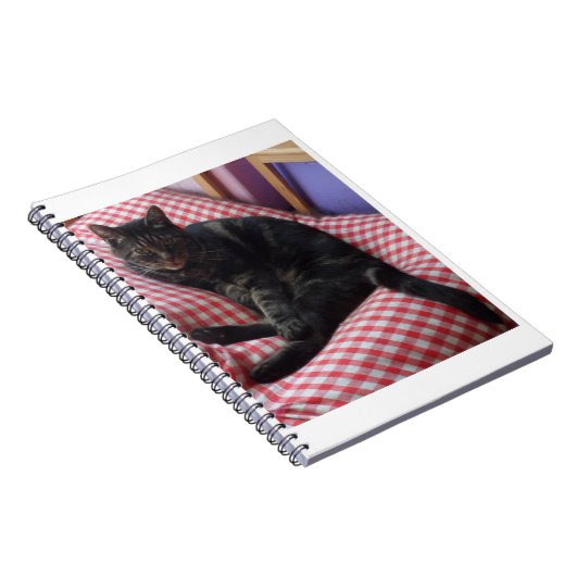 Carnet mignon Dave Spiral (Côté Droit)