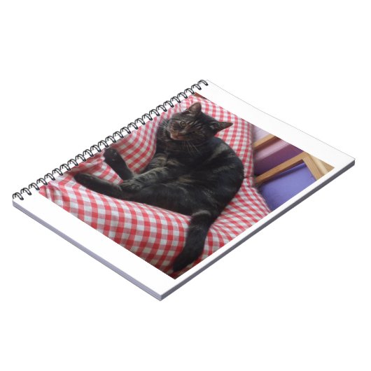 Carnet mignon Dave Spiral (Côté gauche)