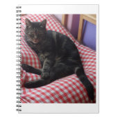 Carnet mignon Dave Spiral (Devant)