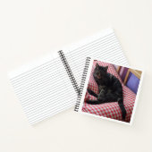 Carnet mignon Dave Spiral (Intérieur)